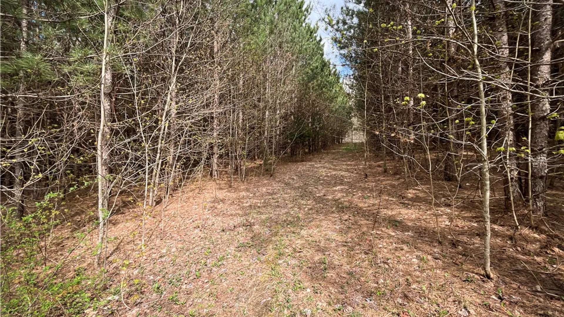 Property at West Creek Road, Richford, NY 13835 11