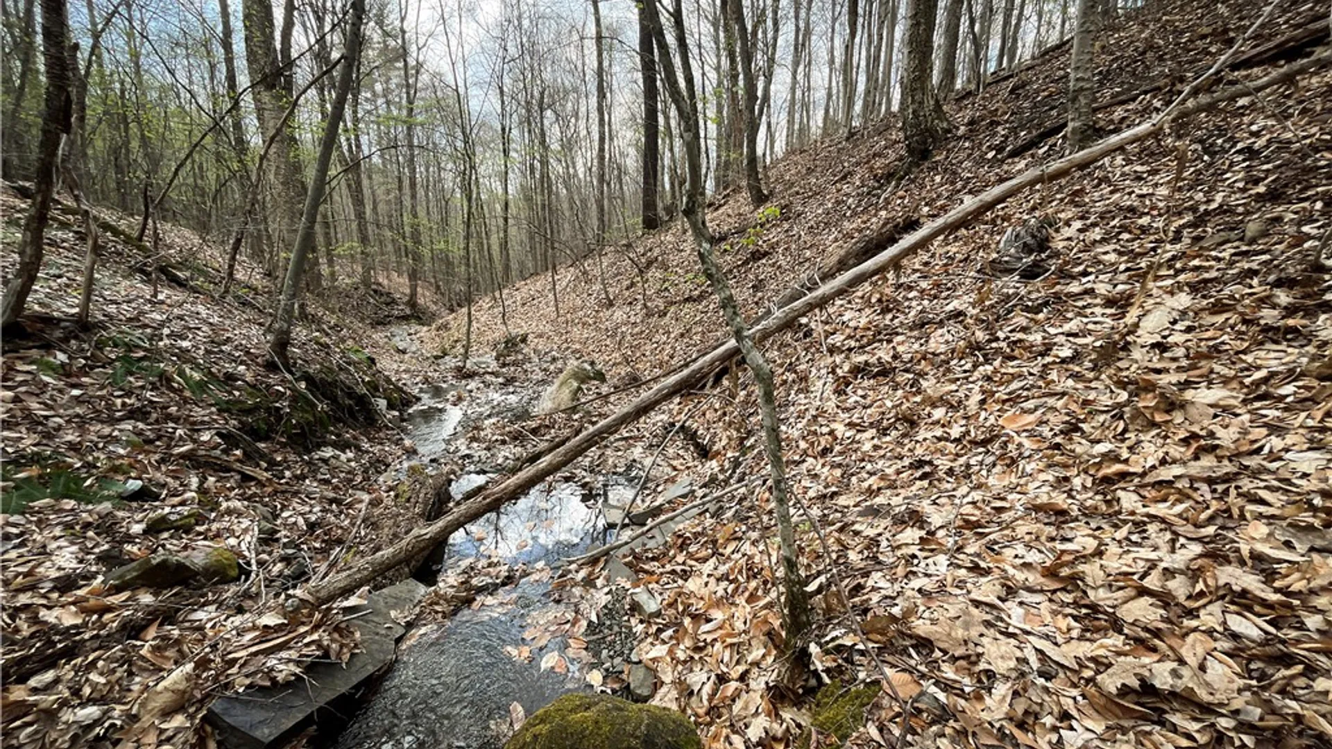 Property at West Creek Road, Richford, NY 13835 16
