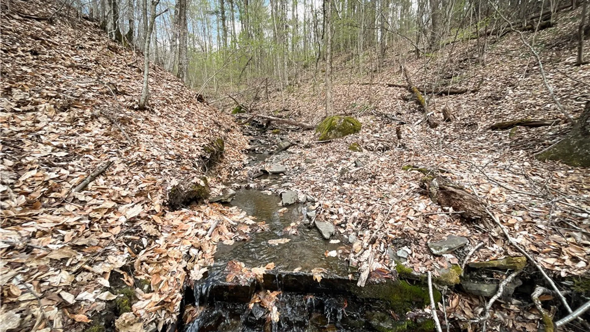 Property at West Creek Road, Richford, NY 13835 17