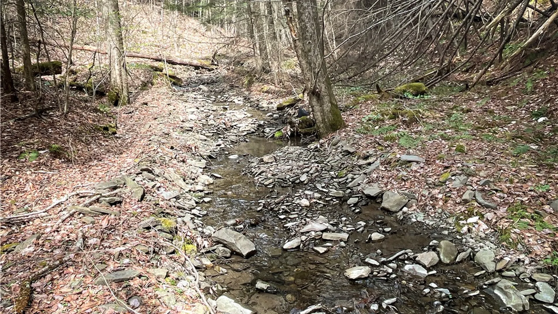 Property at West Creek Road, Richford, NY 13835 18