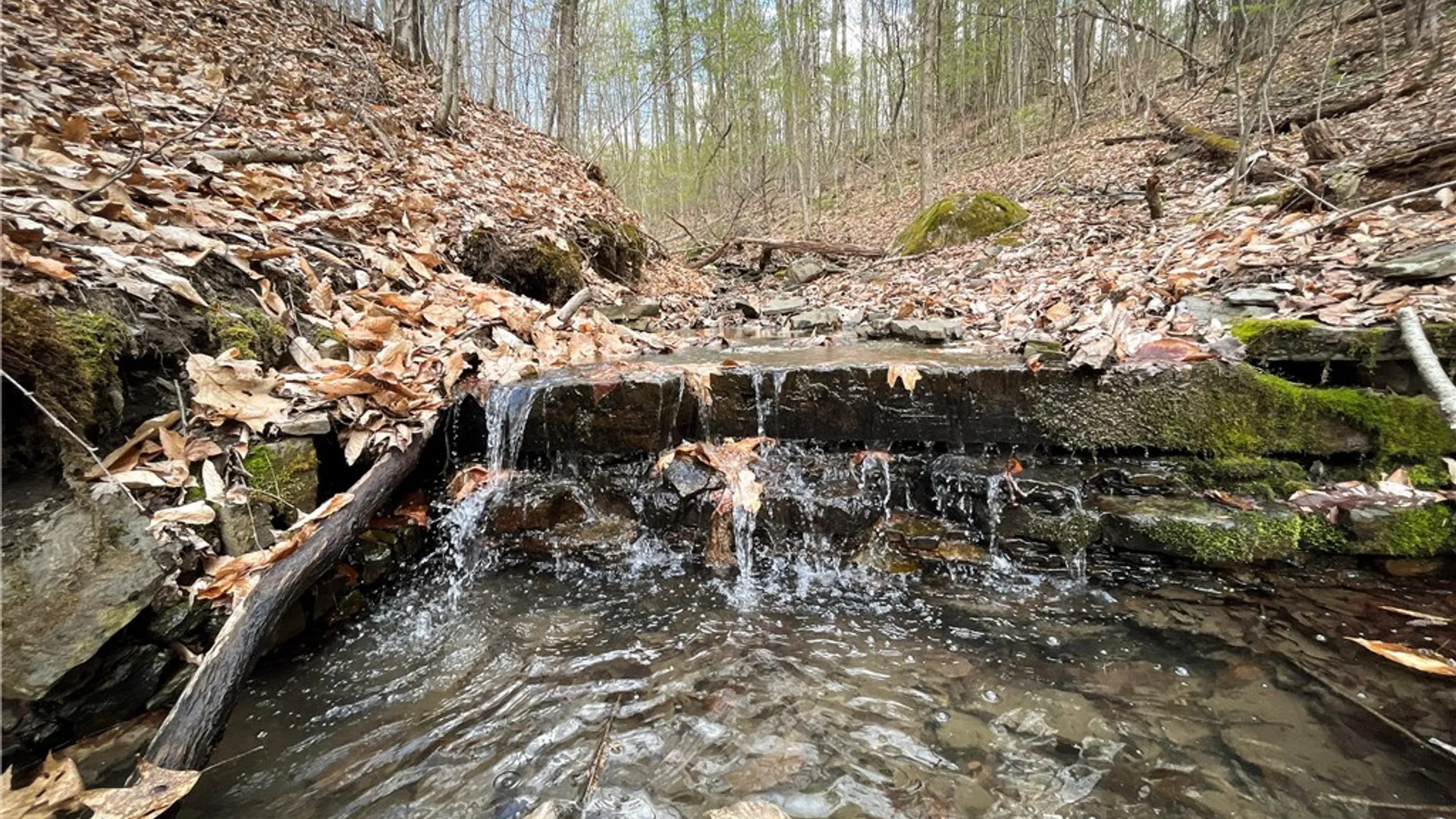 Property at West Creek Road, Richford, NY 13835 19