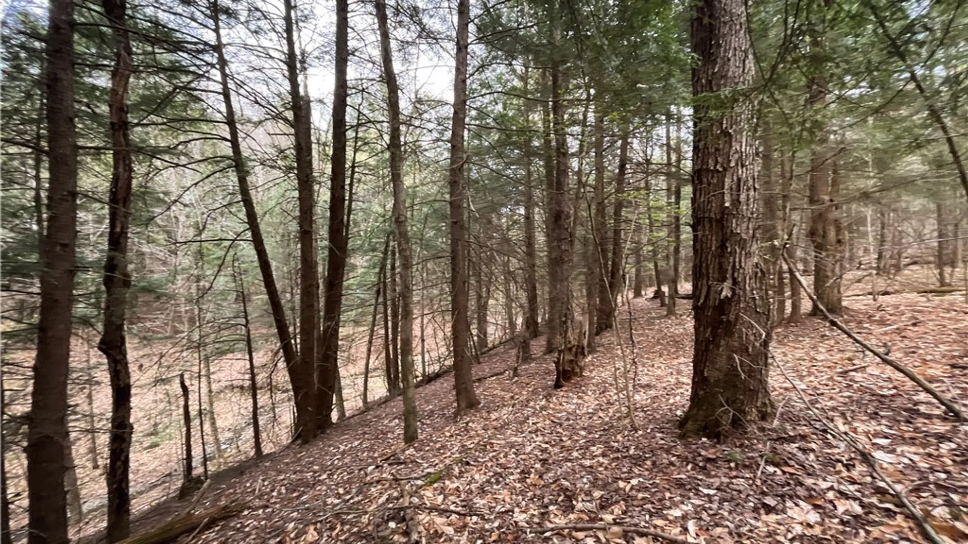 Property at West Creek Road, Richford, NY 13835 31