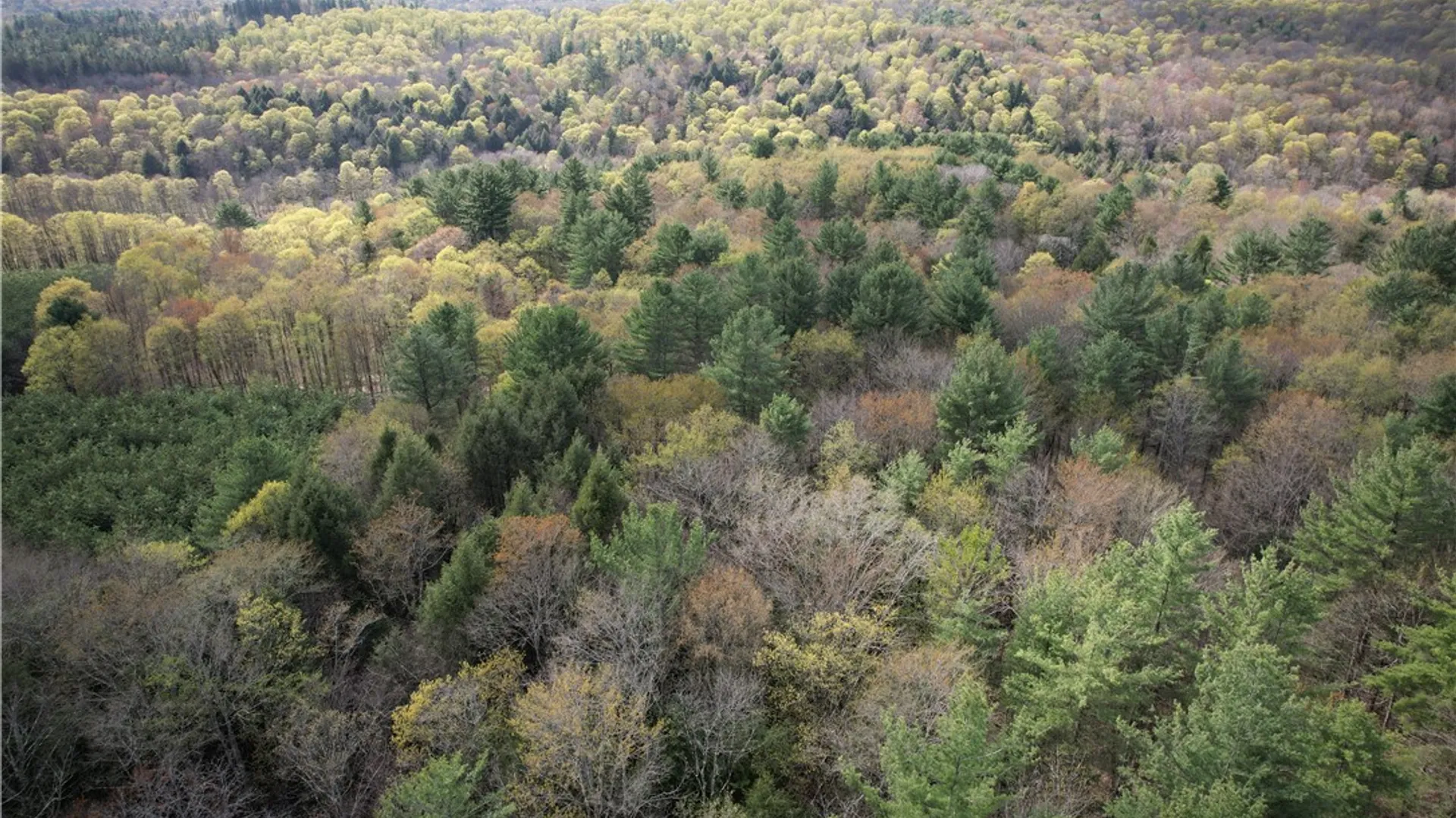Property at West Creek Road, Richford, NY 13835 32