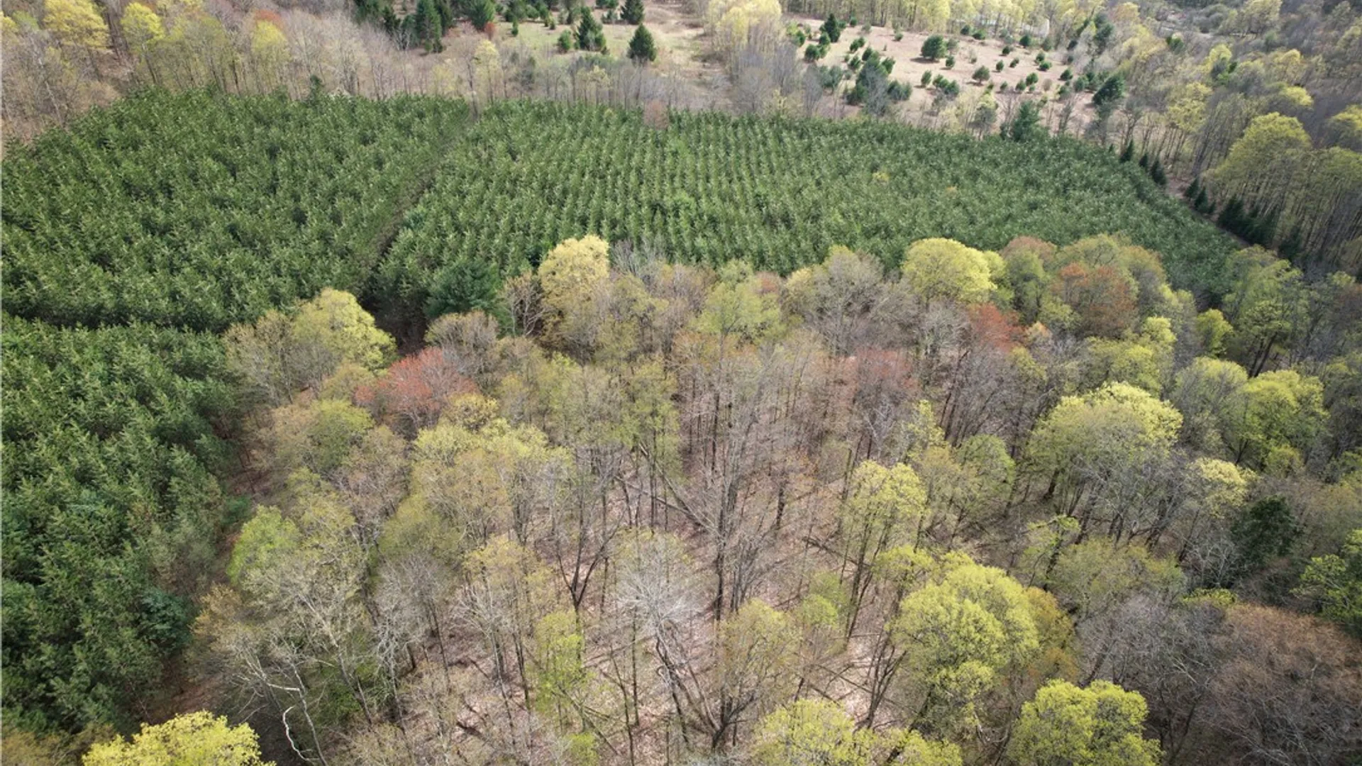 Property at West Creek Road, Richford, NY 13835 33
