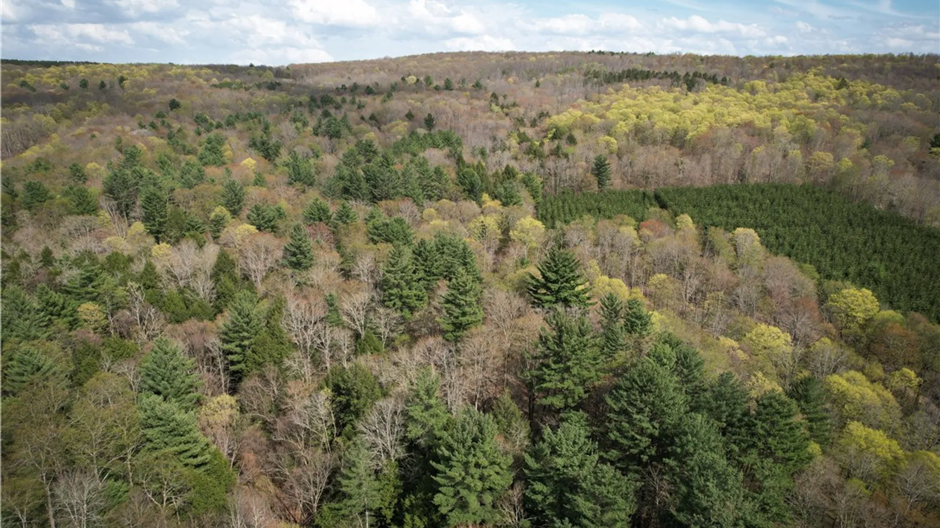 Property at West Creek Road, Richford, NY 13835 35