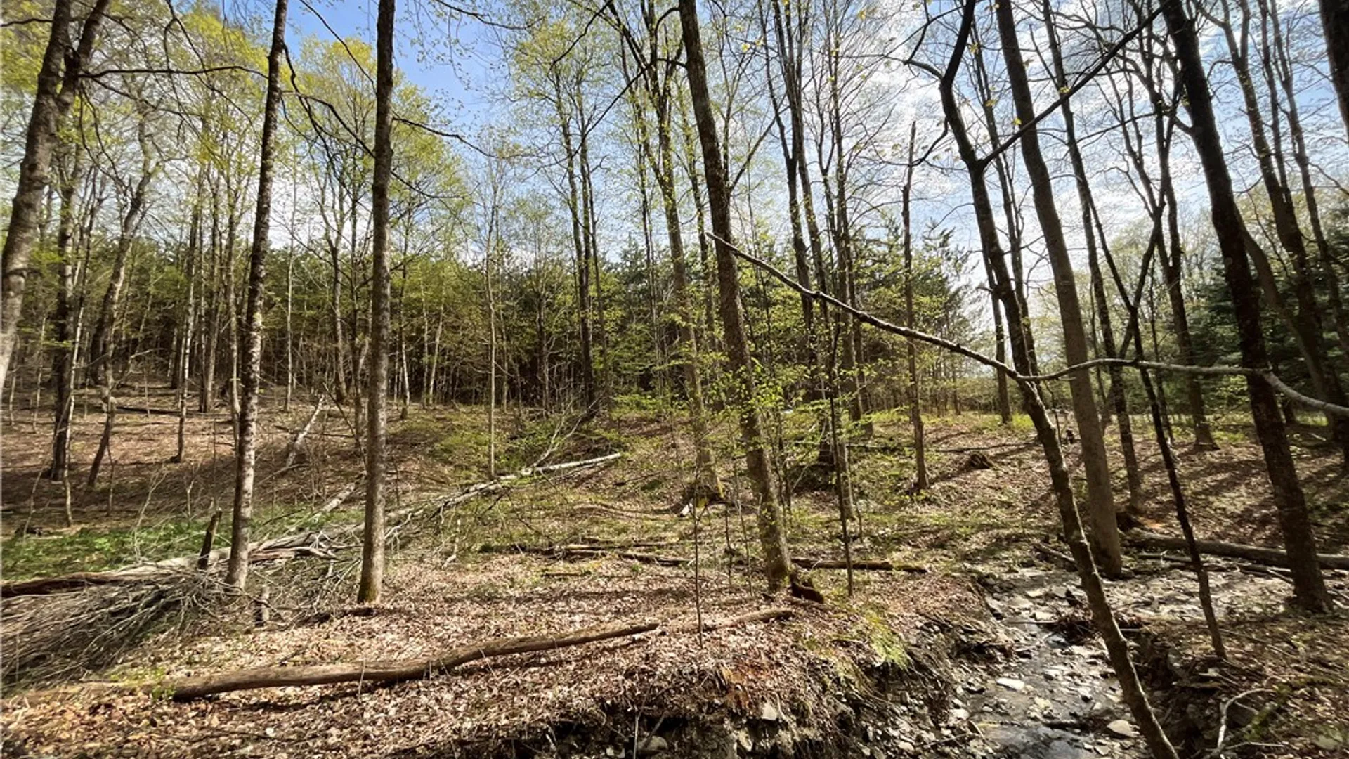 Property at West Creek Road, Richford, NY 13835 36