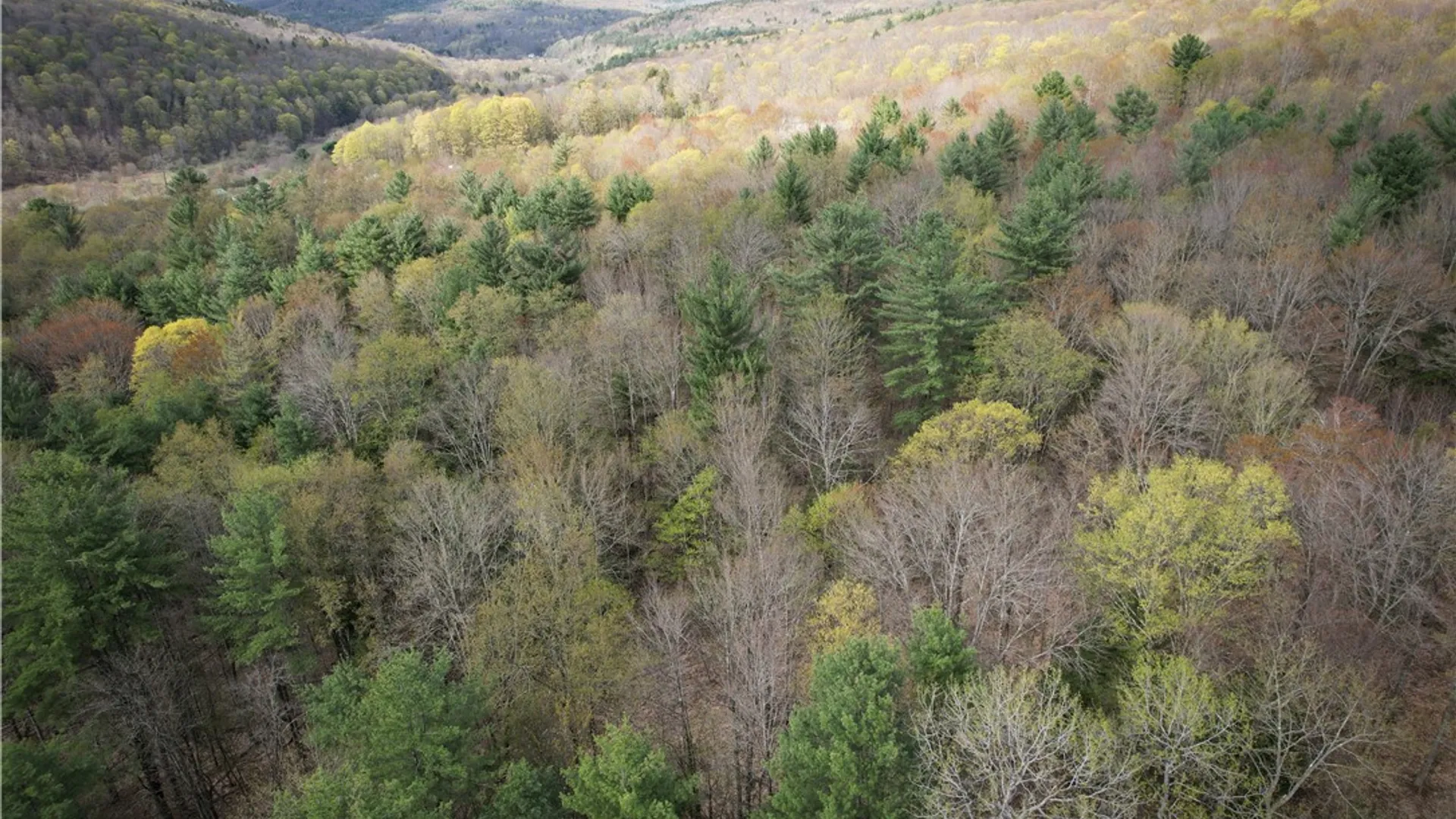 Property at West Creek Road, Richford, NY 13835 37