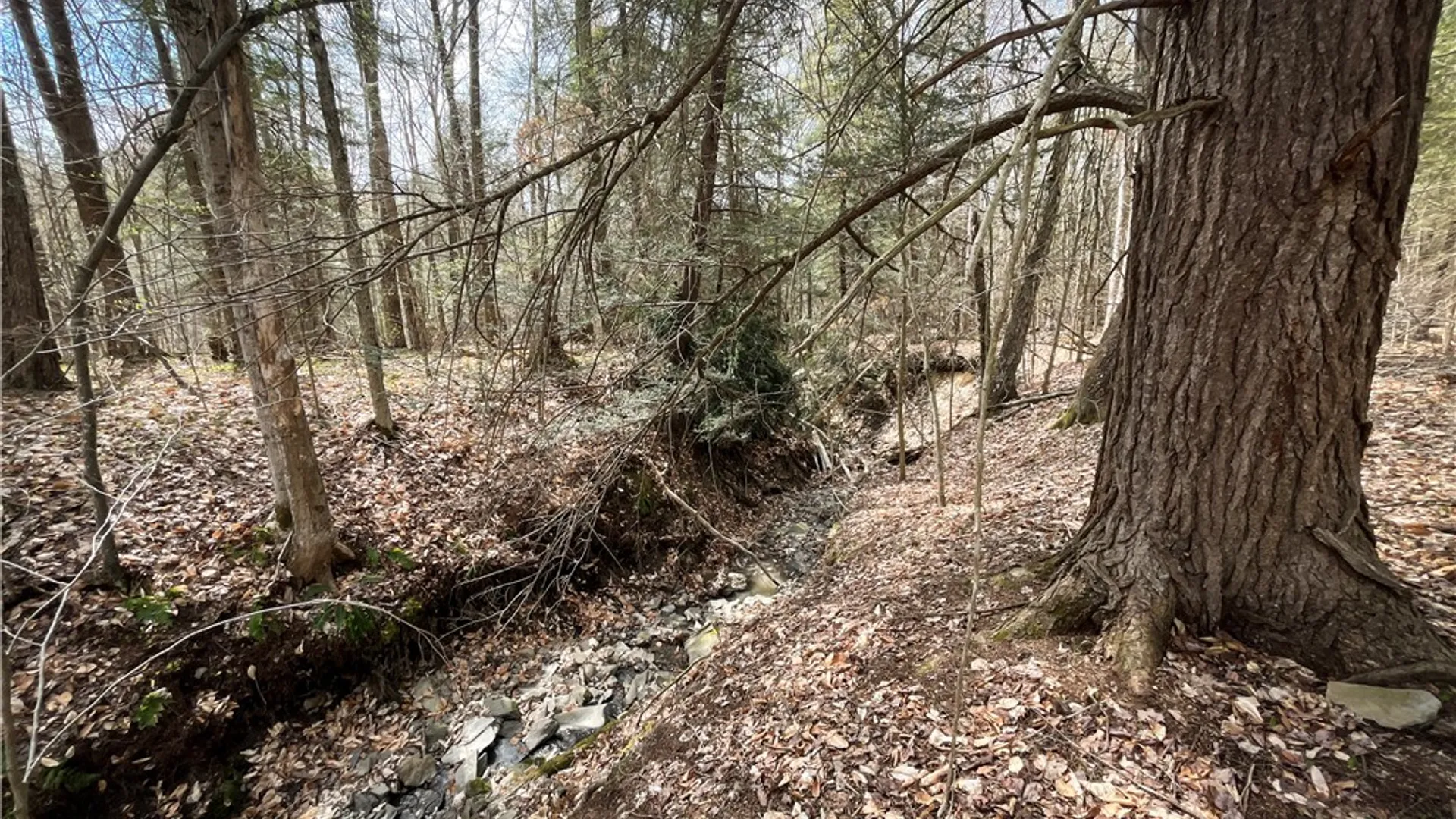 Property at West Creek Road, Richford, NY 13835 38
