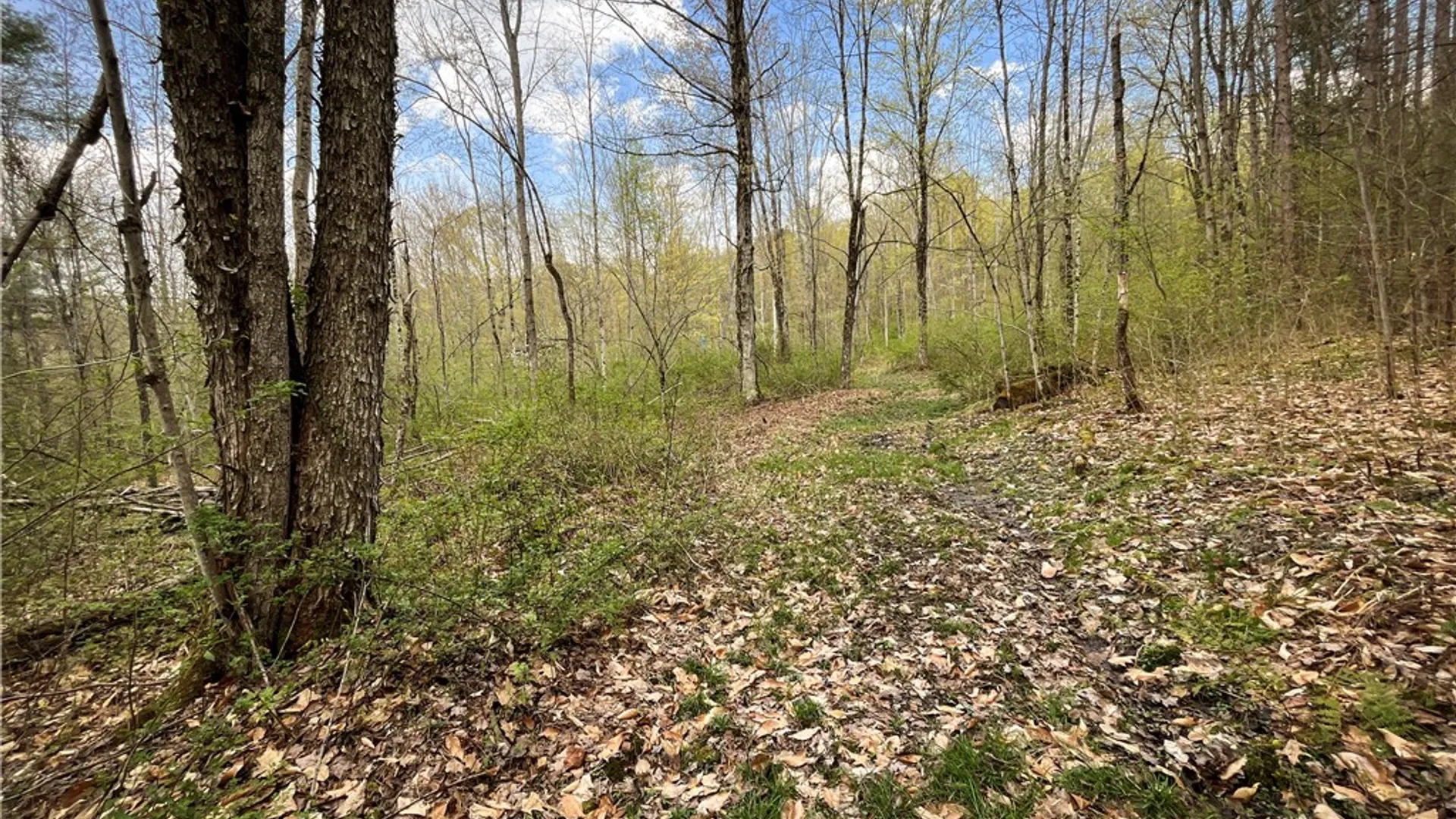 Property at West Creek Road, Richford, NY 13835 4