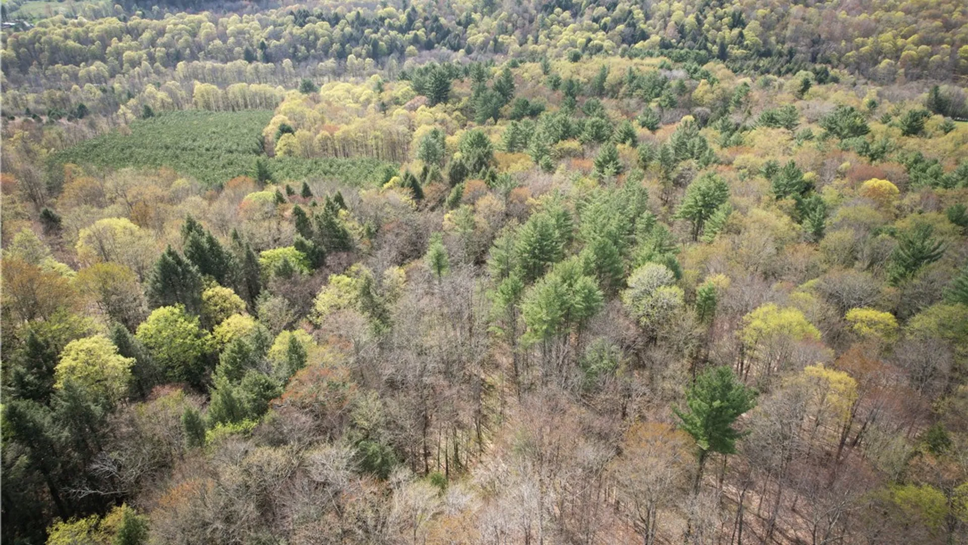 Property at West Creek Road, Richford, NY 13835 40