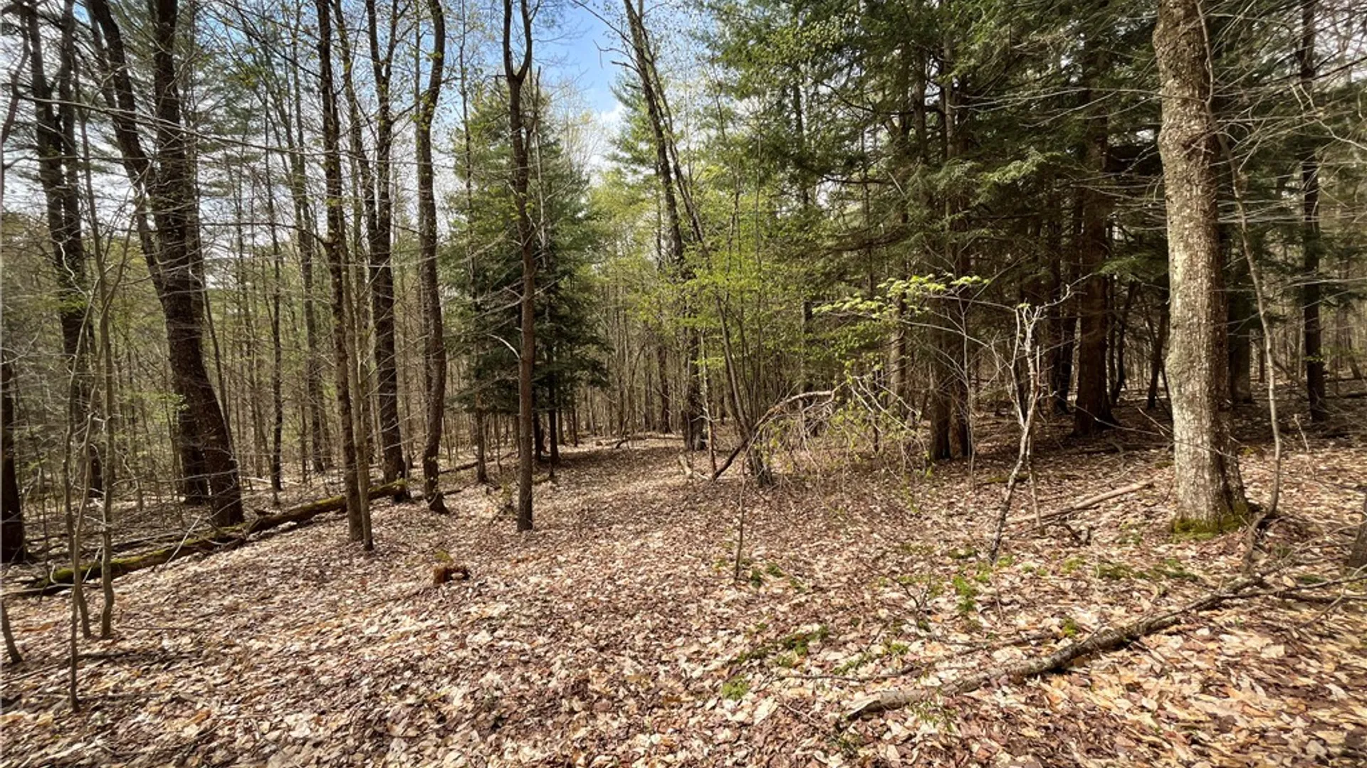 Property at West Creek Road, Richford, NY 13835 5