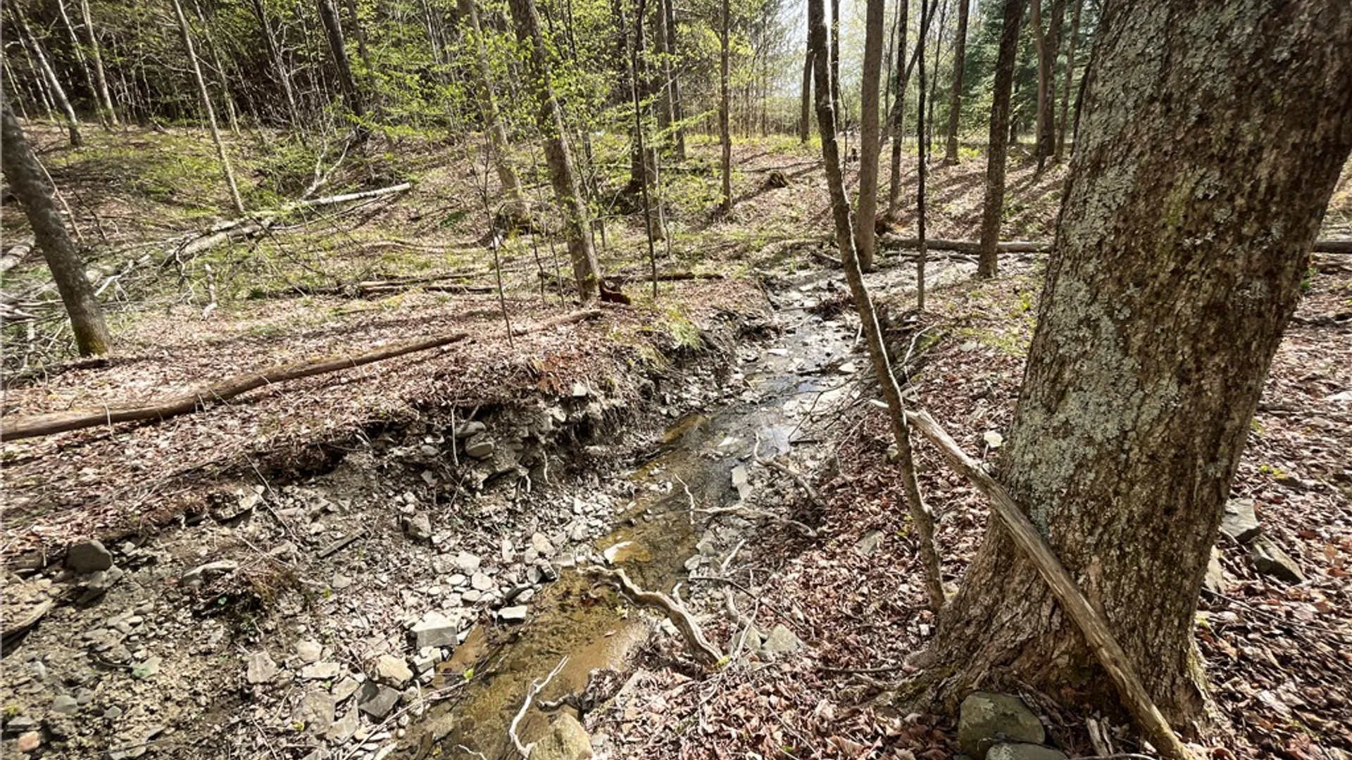 Property at West Creek Road, Richford, NY 13835 6