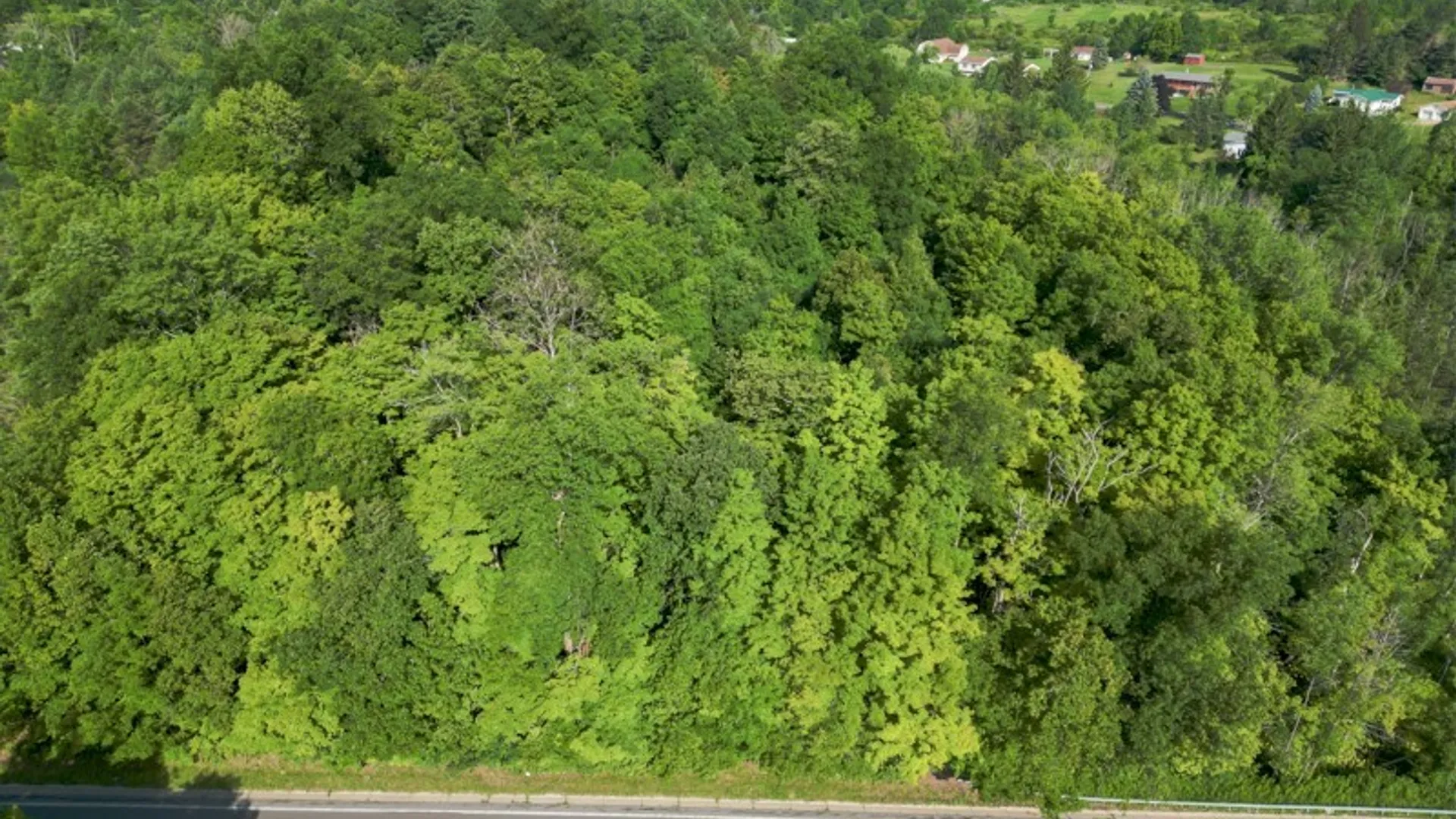 Property at 2361 State Route 28, German Flatts, NY 13407 26