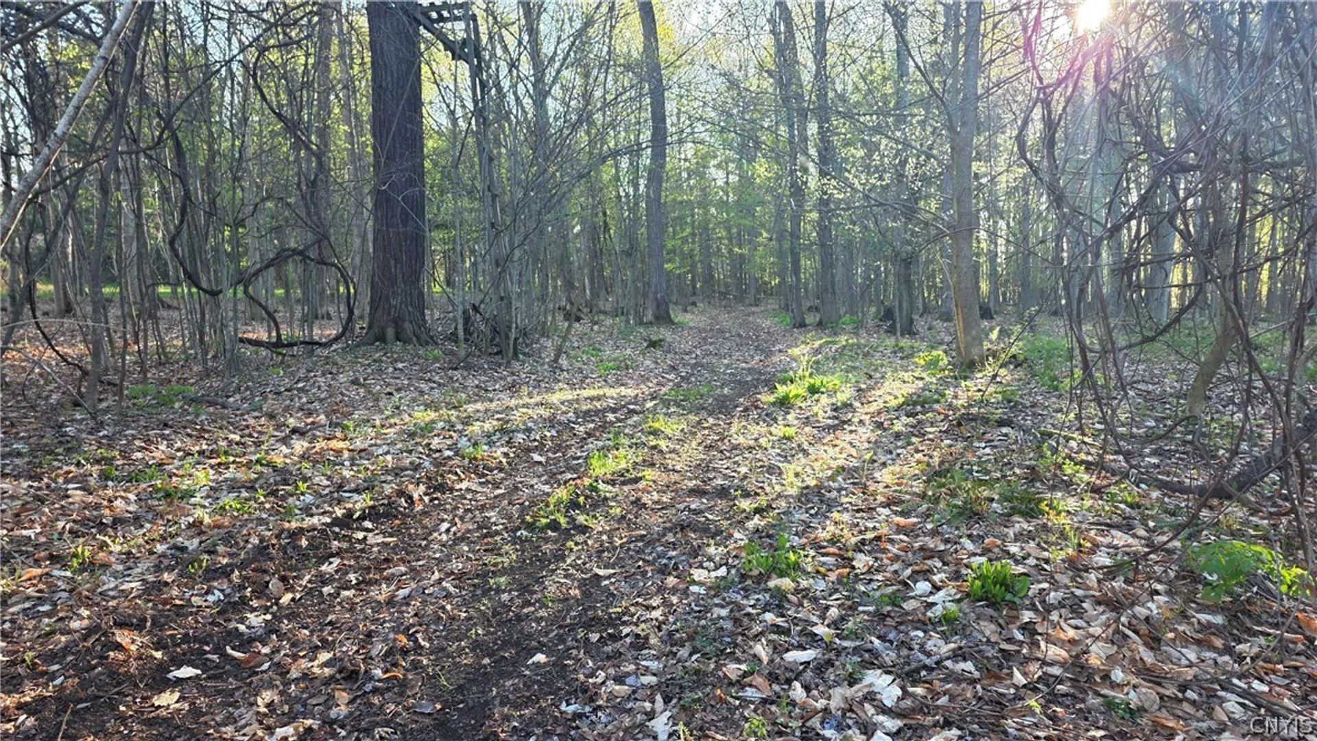 Property at 2361 State Route 28, German Flatts, NY 13407 28