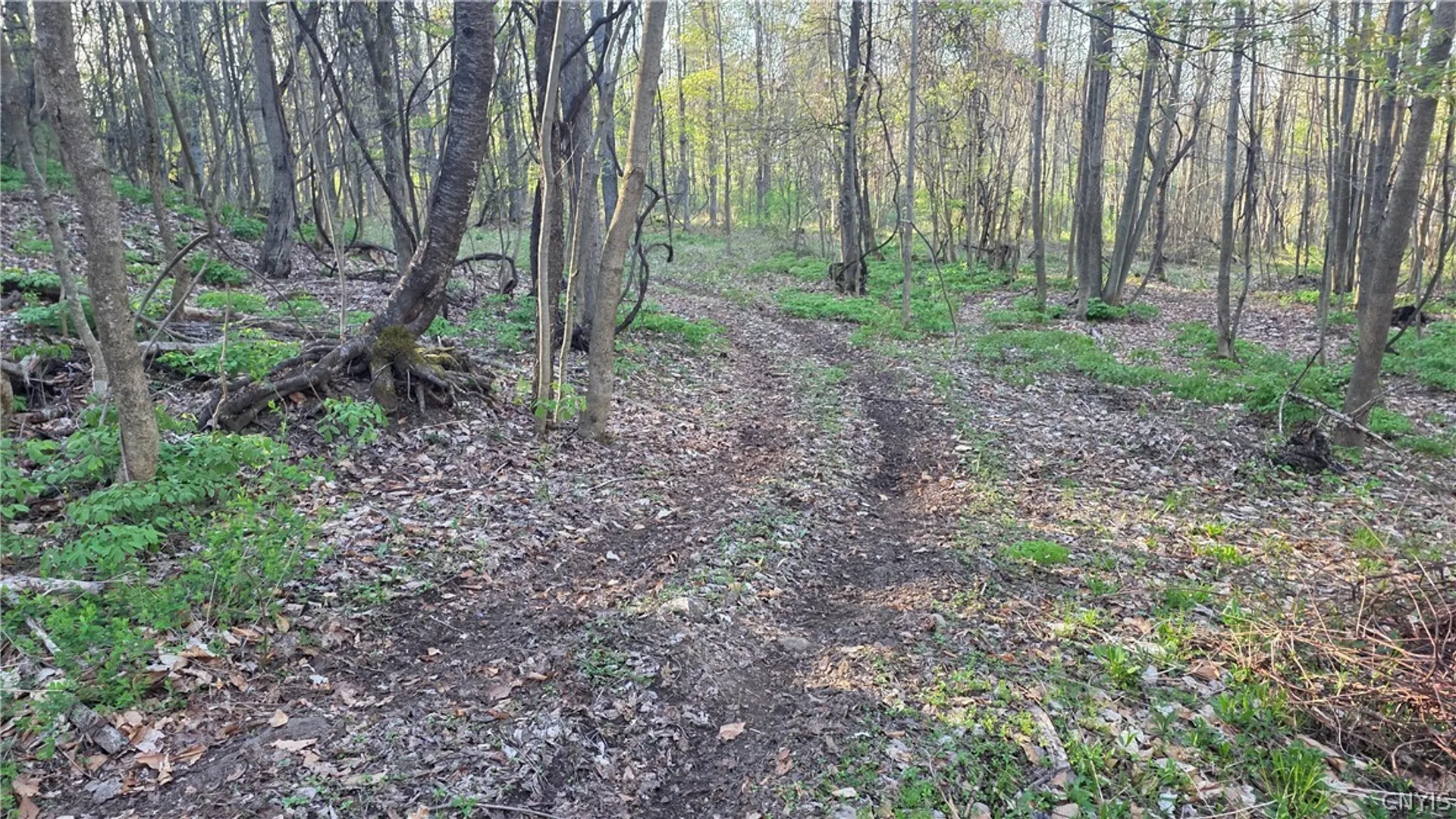 Property at 2361 State Route 28, German Flatts, NY 13407 29