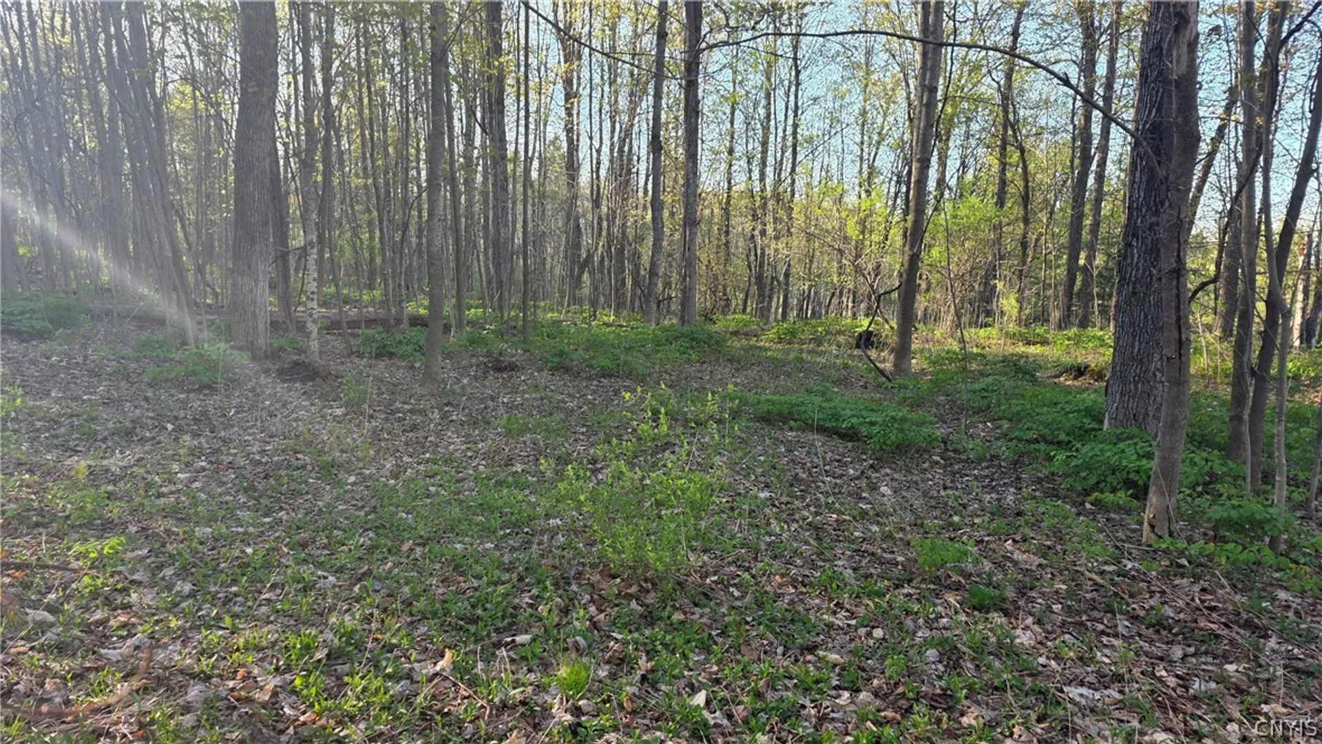 Property at 2361 State Route 28, German Flatts, NY 13407 30