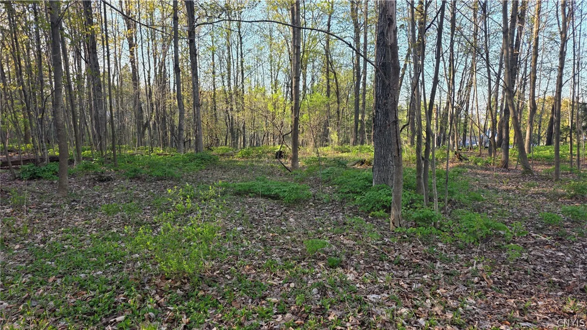 Property at 2361 State Route 28, German Flatts, NY 13407 31