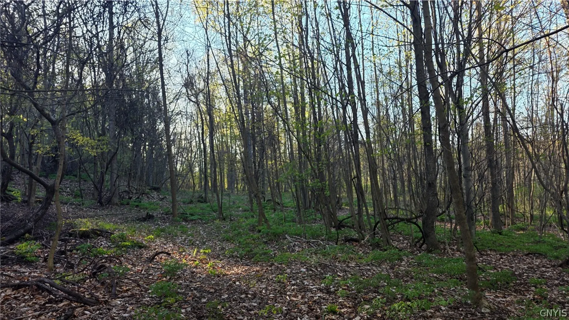 Property at 2361 State Route 28, German Flatts, NY 13407 32