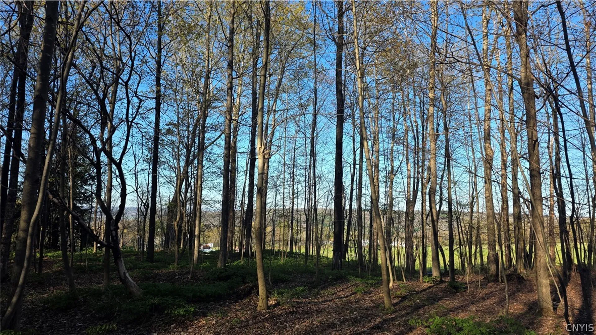Property at 2361 State Route 28, German Flatts, NY 13407 33