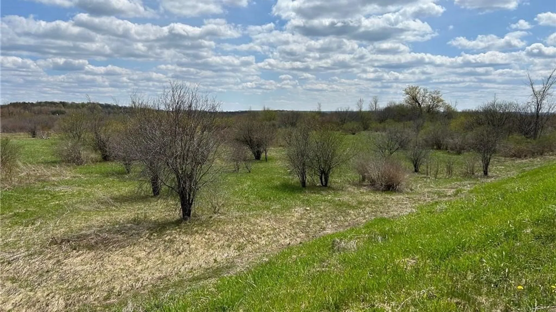 Property at 0 Co Route 32, Le Ray, NY 13637 12