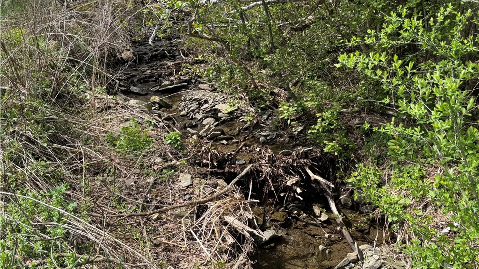 Property at 694 Wilber Lake Road, Oneonta, NY 13820 10