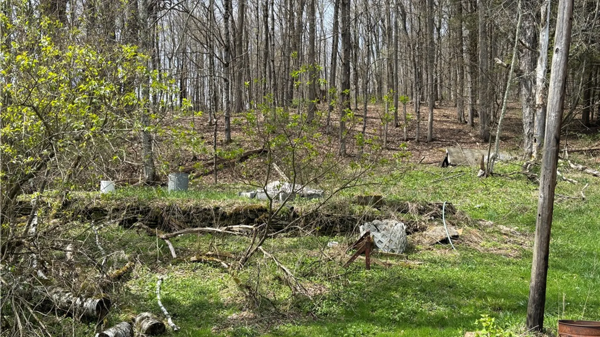 Property at 694 Wilber Lake Road, Oneonta, NY 13820 11