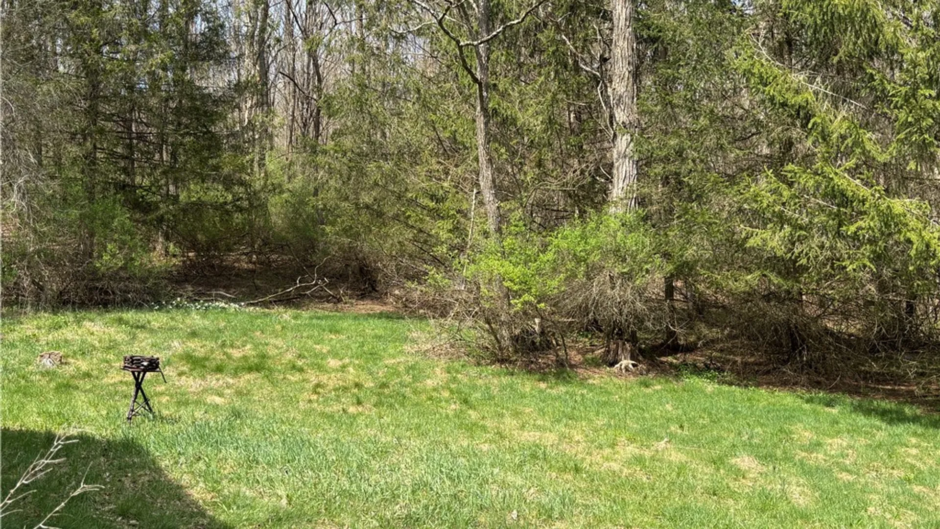 Property at 694 Wilber Lake Road, Oneonta, NY 13820 13