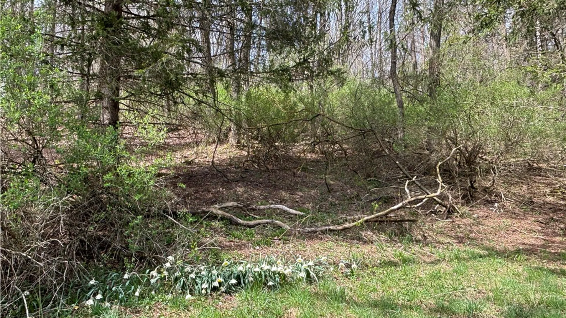 Property at 694 Wilber Lake Road, Oneonta, NY 13820 15