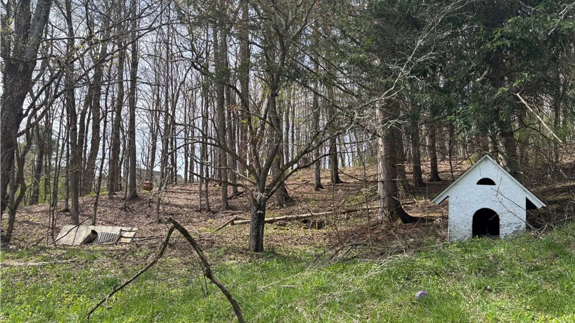 Property at 694 Wilber Lake Road, Oneonta, NY 13820 16