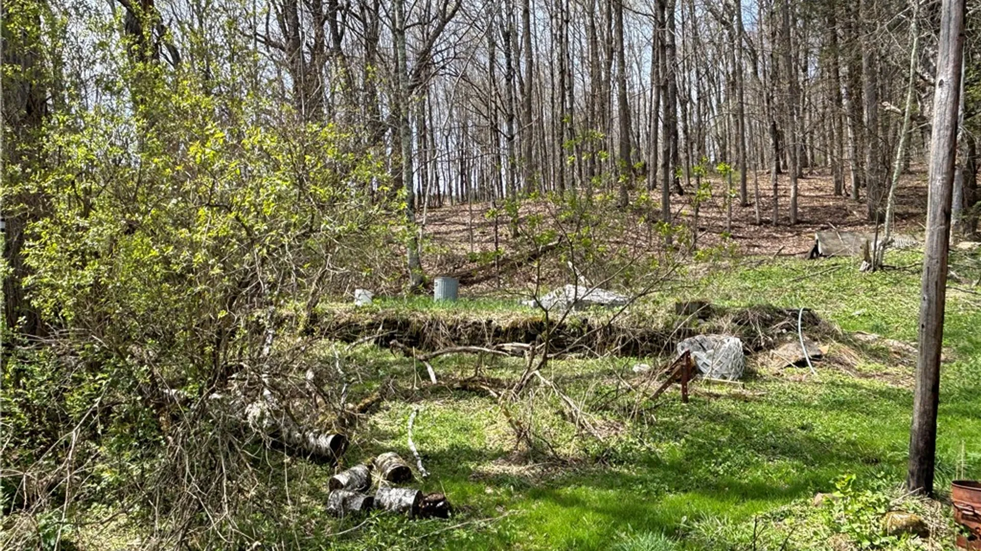 Property at 694 Wilber Lake Road, Oneonta, NY 13820 17