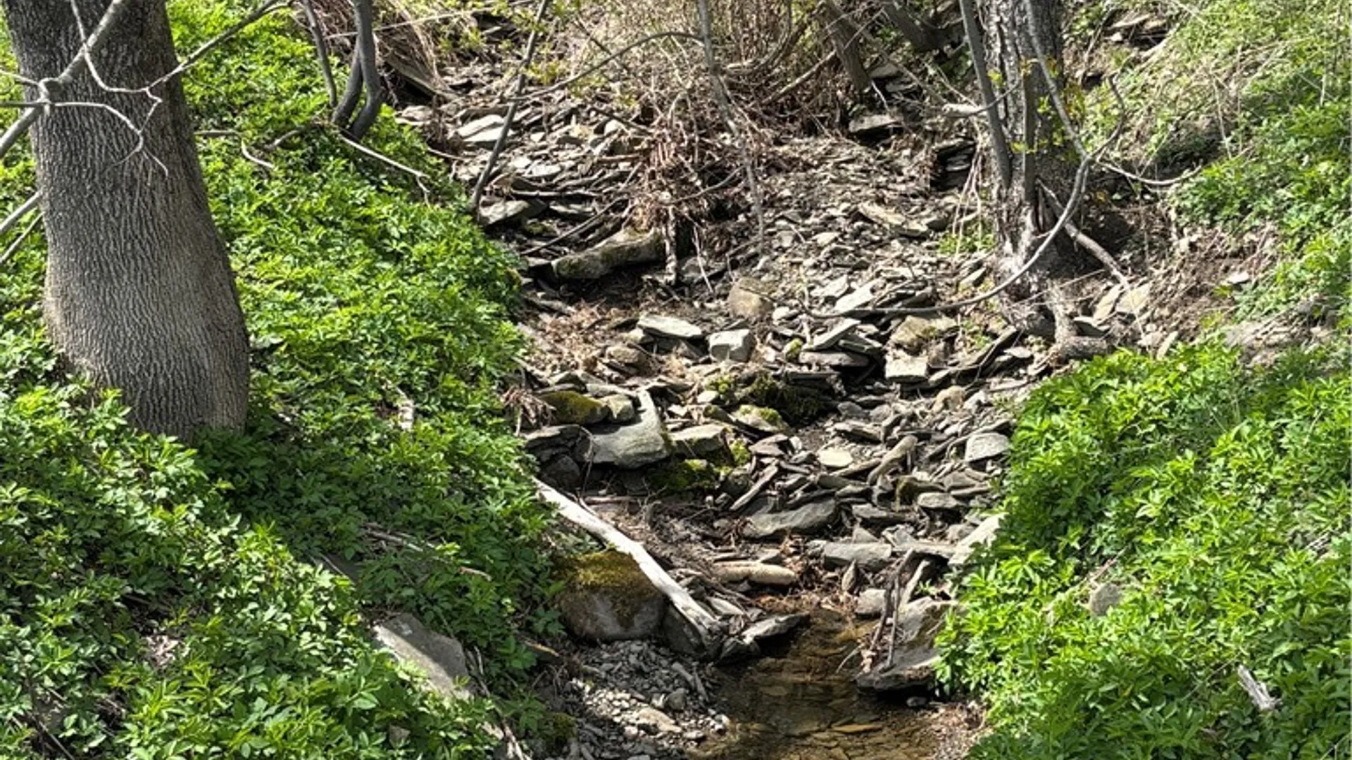 Property at 694 Wilber Lake Road, Oneonta, NY 13820 21