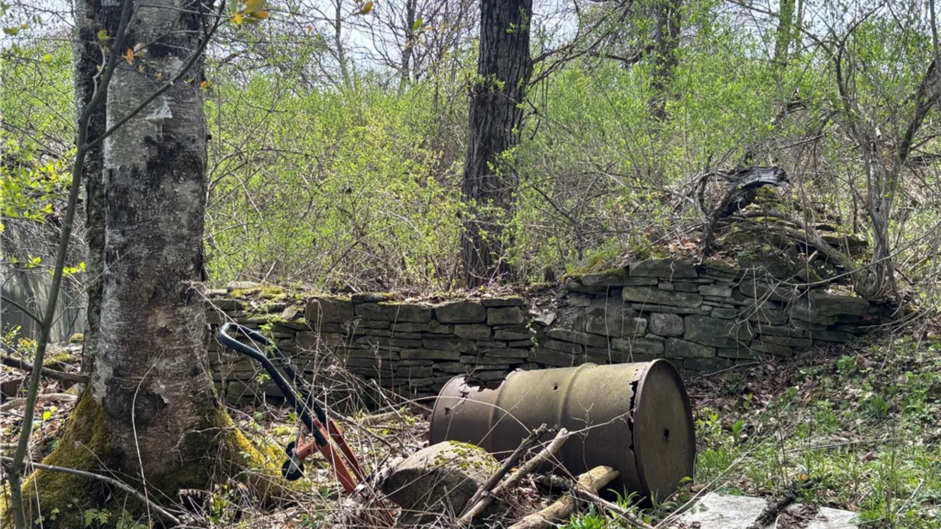 Property at 694 Wilber Lake Road, Oneonta, NY 13820 8