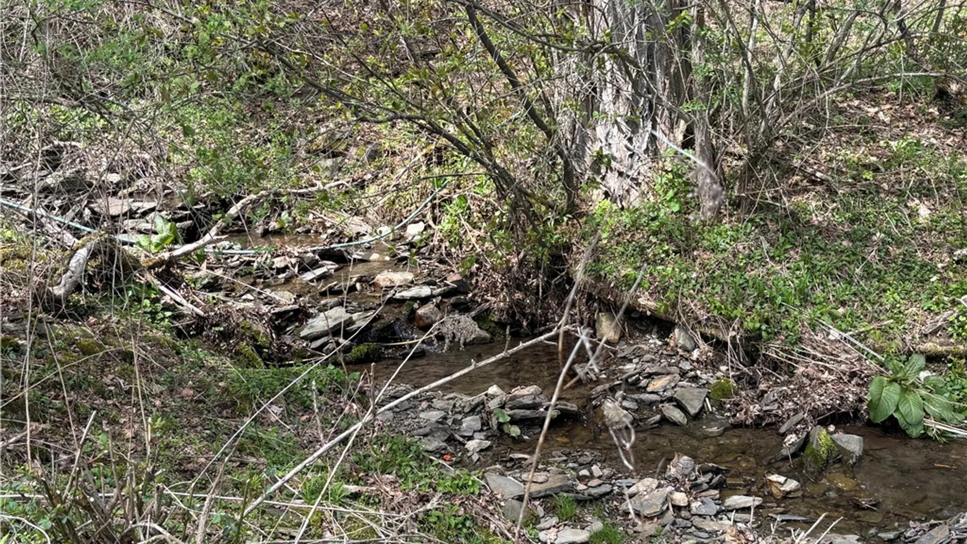 Property at 694 Wilber Lake Road, Oneonta, NY 13820 9