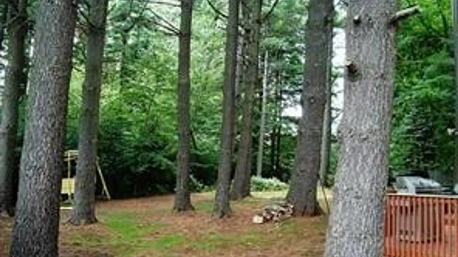 Property at 180 Paradise Road, Amherst, NY 14051 7