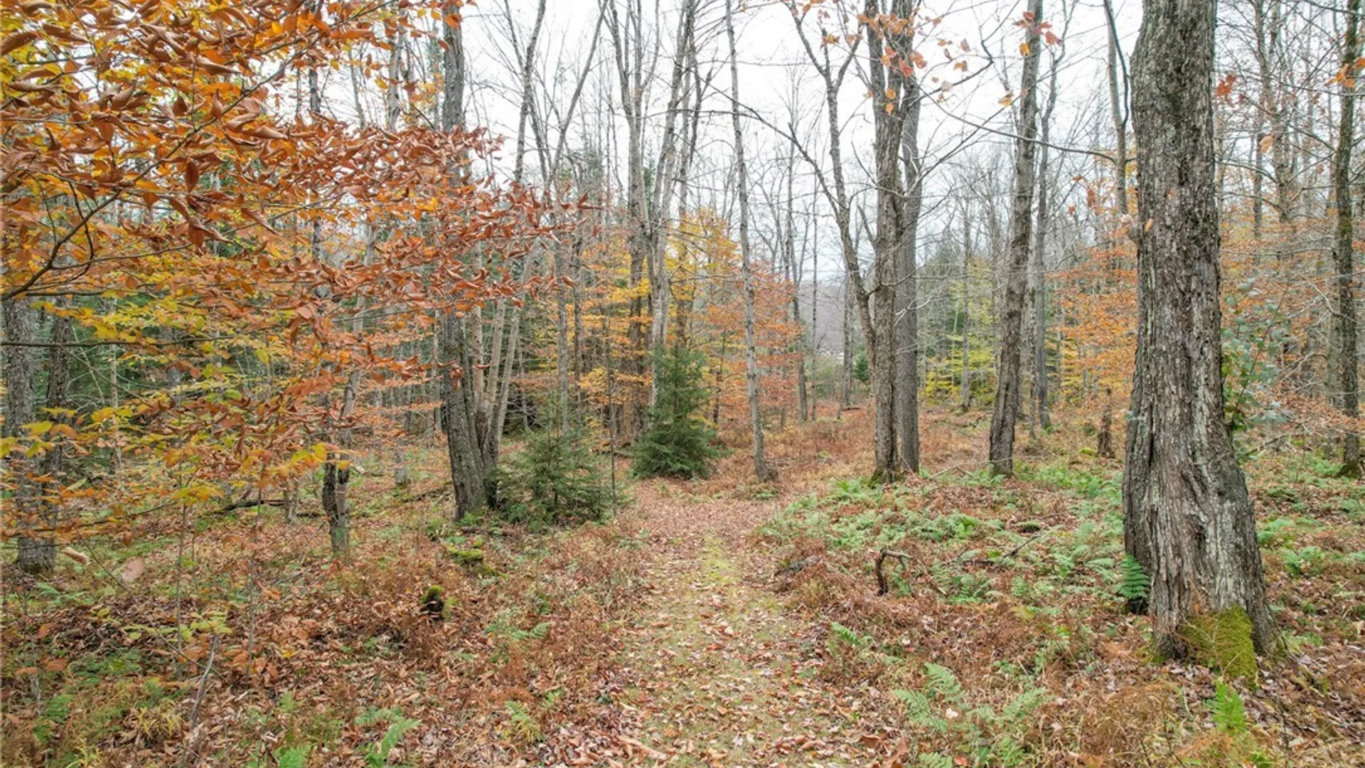 Property at 3275 Mohawk Drive, Forestport, NY 13338 35