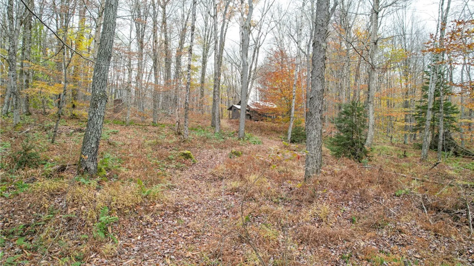 Property at 3275 Mohawk Drive, Forestport, NY 13338 36