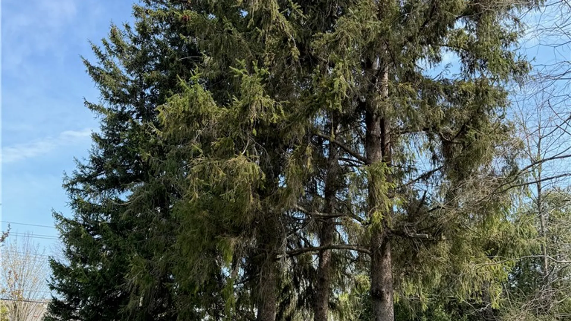 Property at 3170 Franklin Street Road, Sennett, NY 13021 31