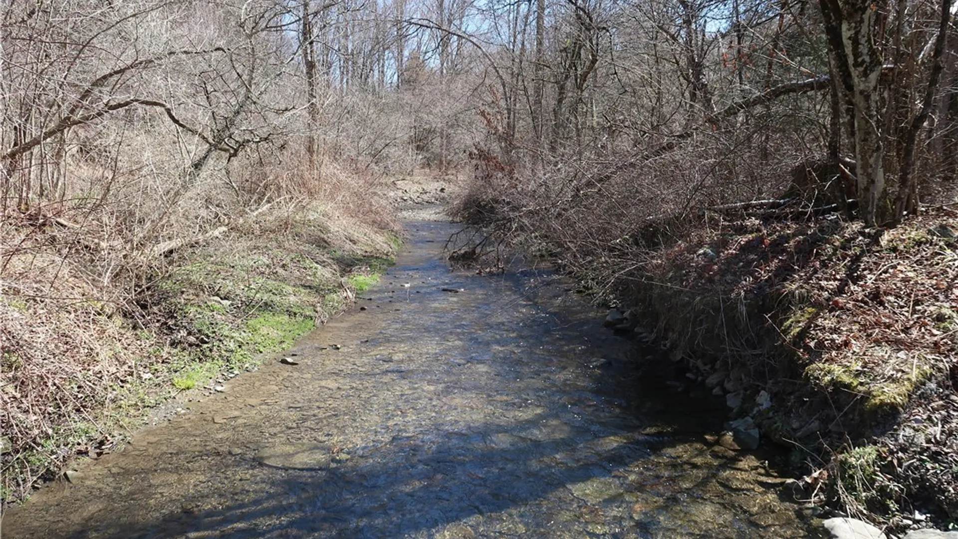 Property at 5156 Carr Road, Willet, NY 13863 13