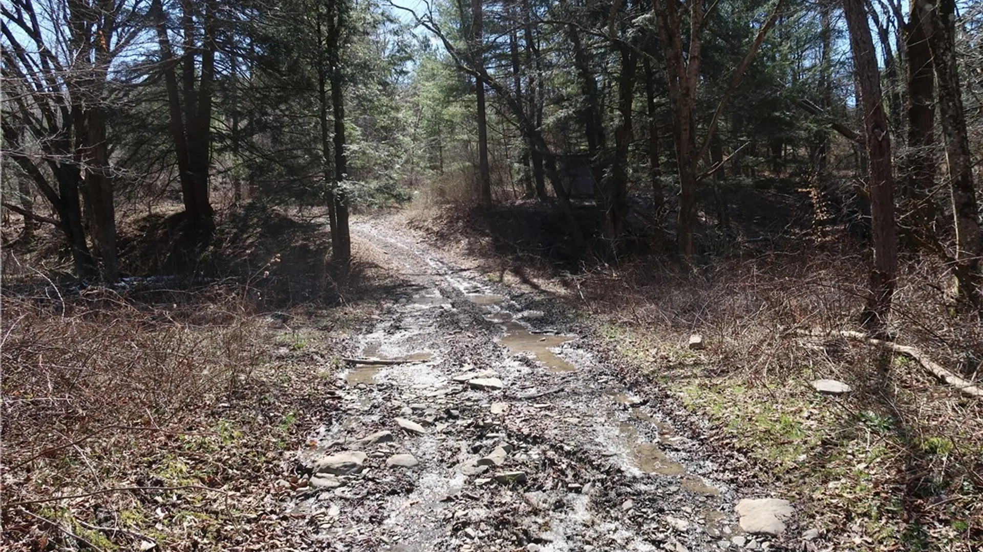 Property at 5156 Carr Road, Willet, NY 13863 14