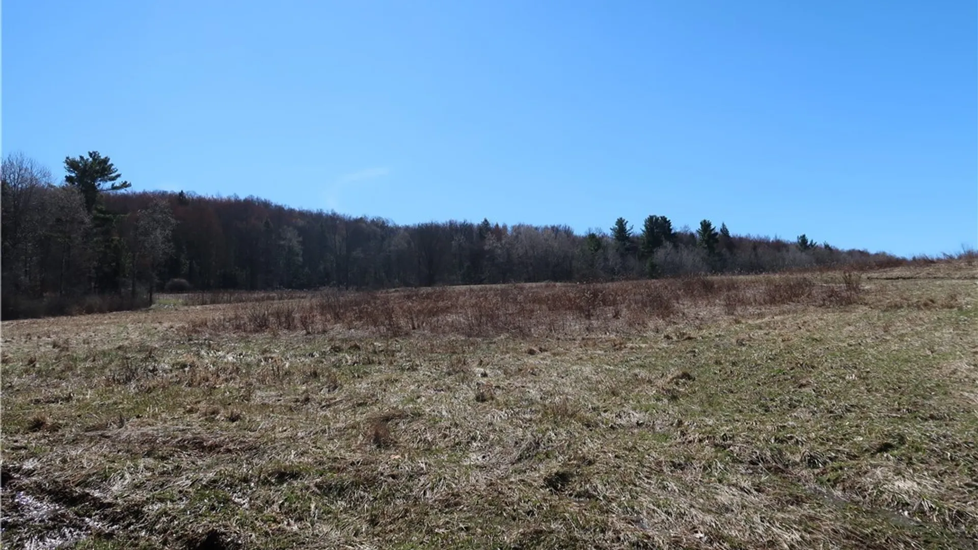 Property at 5156 Carr Road, Willet, NY 13863 15