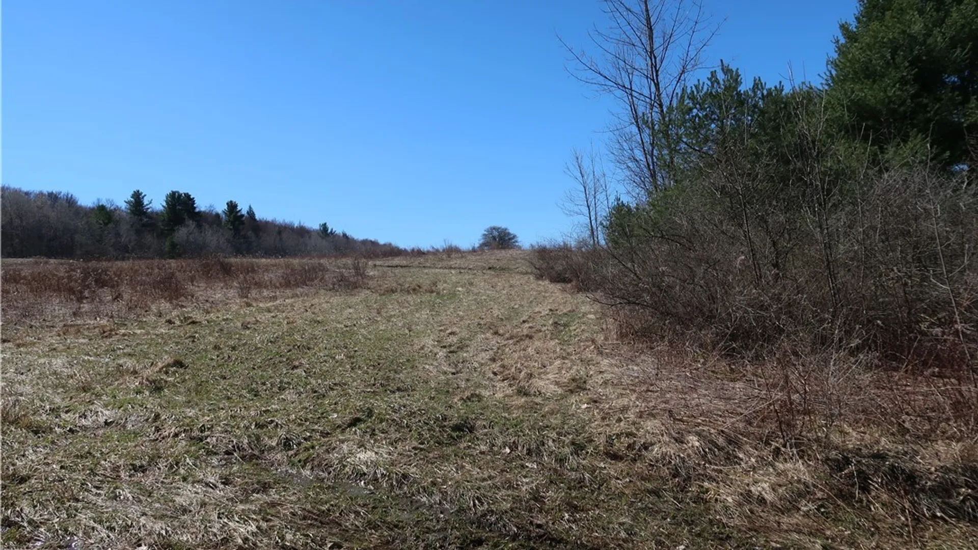 Property at 5156 Carr Road, Willet, NY 13863 16