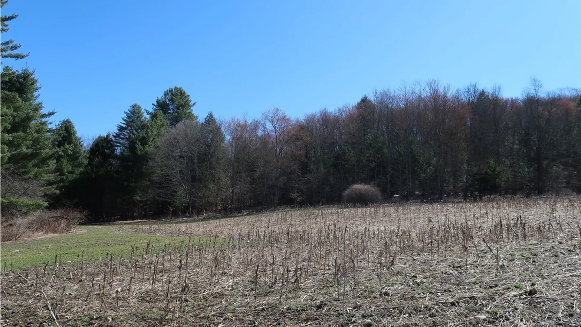 Property at 5156 Carr Road, Willet, NY 13863 17