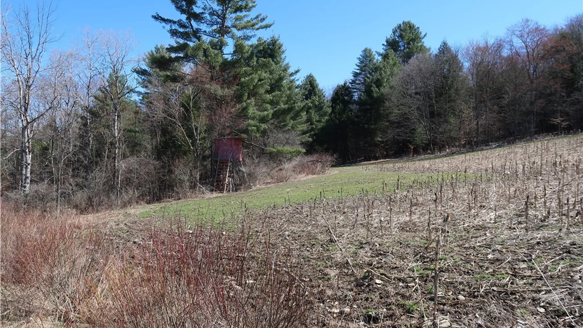 Property at 5156 Carr Road, Willet, NY 13863 18