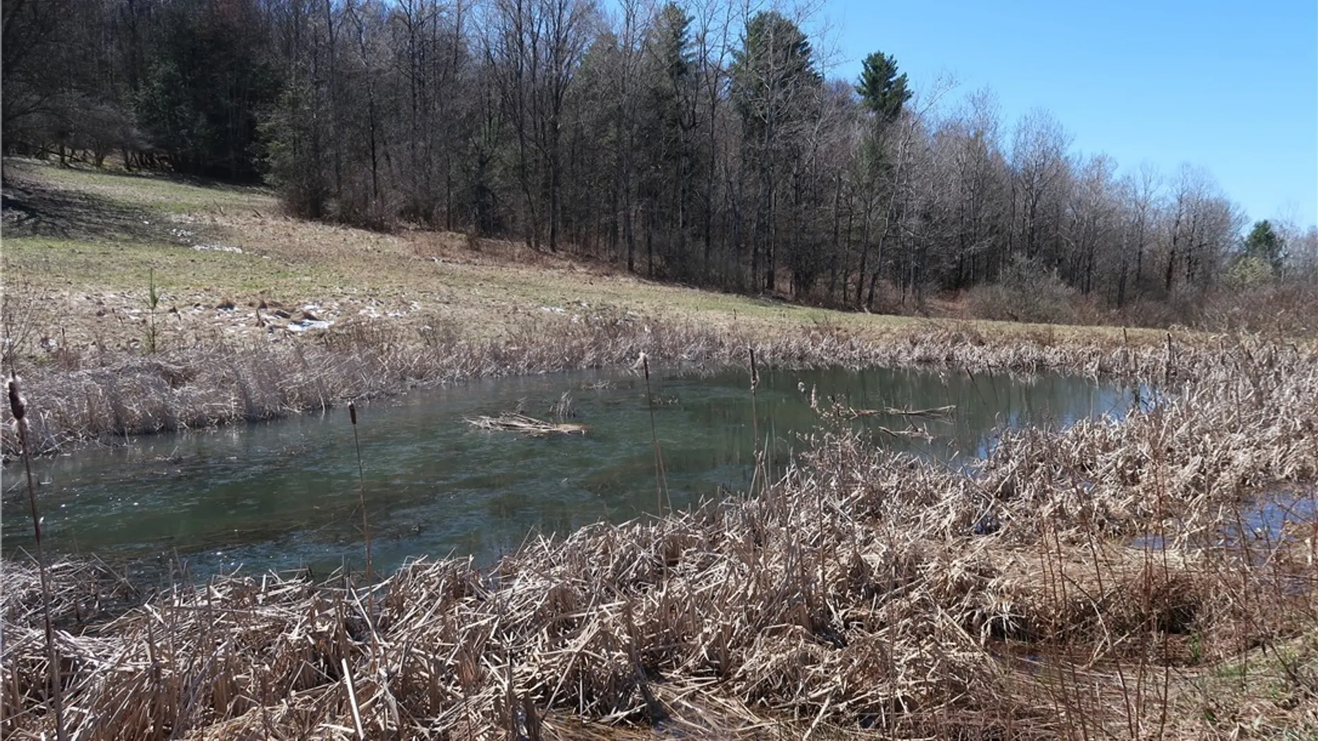 Property at 5156 Carr Road, Willet, NY 13863 19