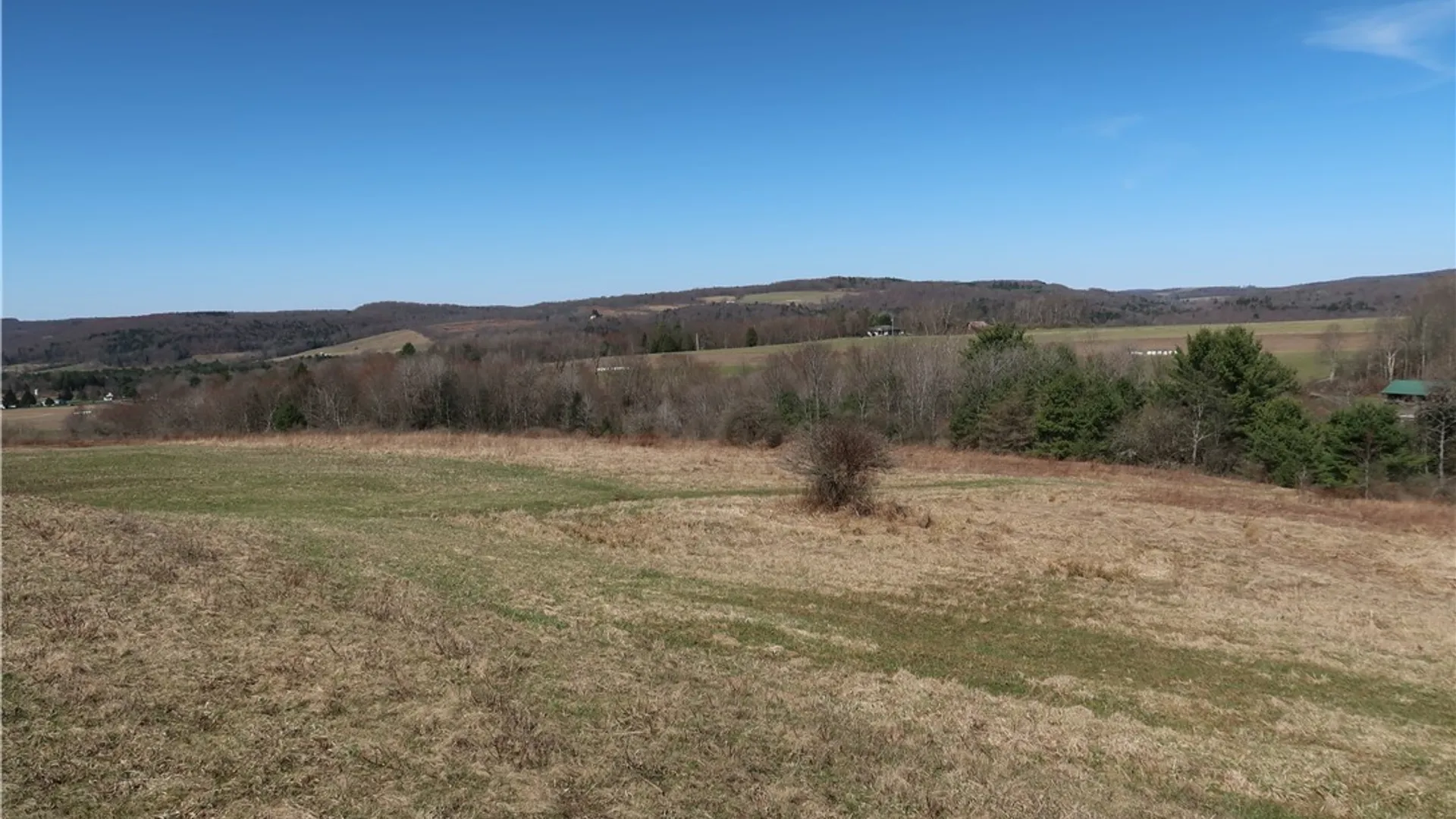 Property at 5156 Carr Road, Willet, NY 13863 20