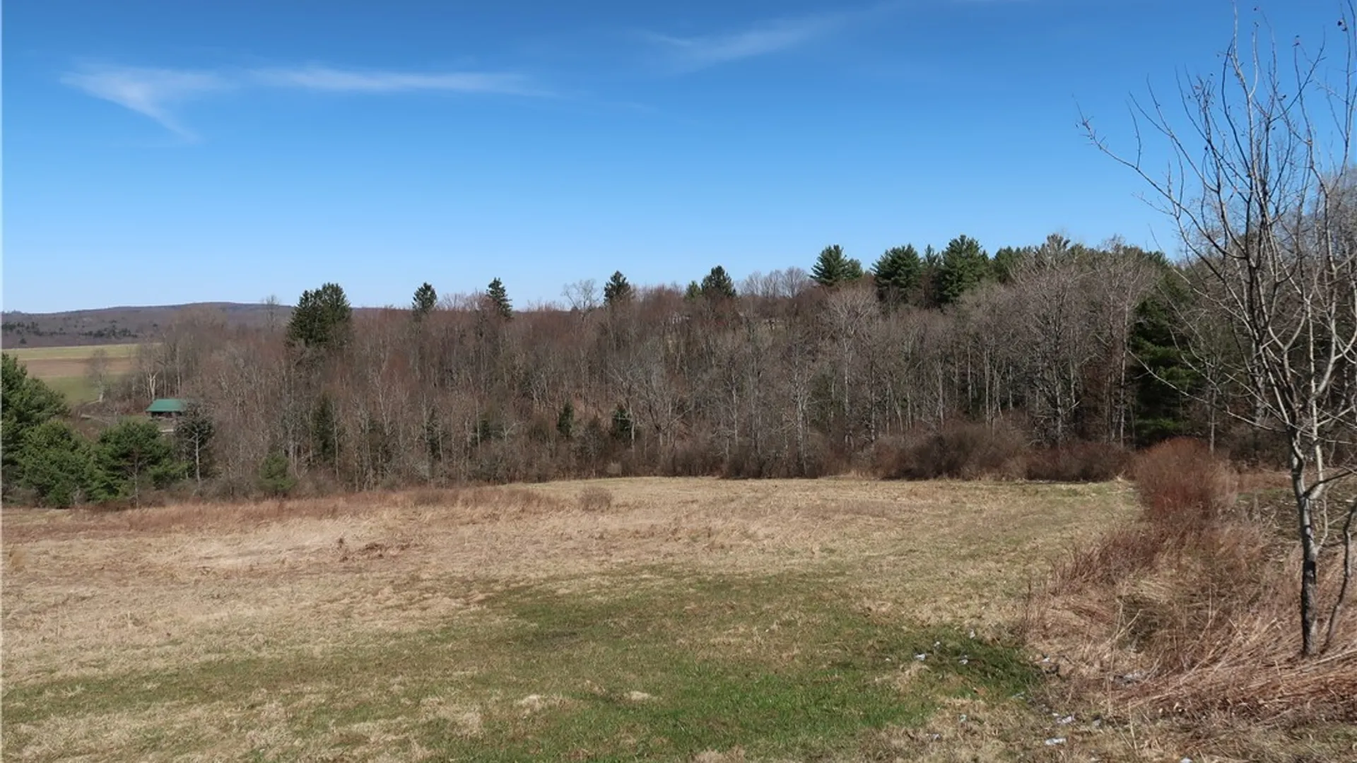 Property at 5156 Carr Road, Willet, NY 13863 21