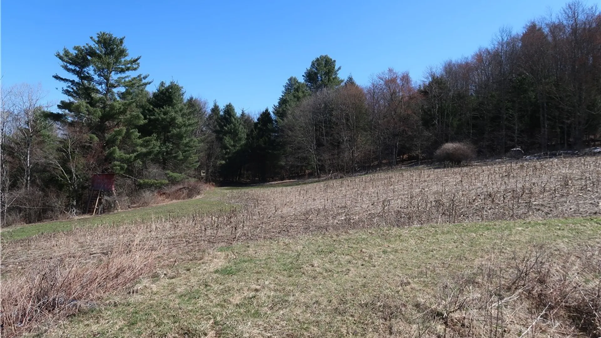 Property at 5156 Carr Road, Willet, NY 13863 22