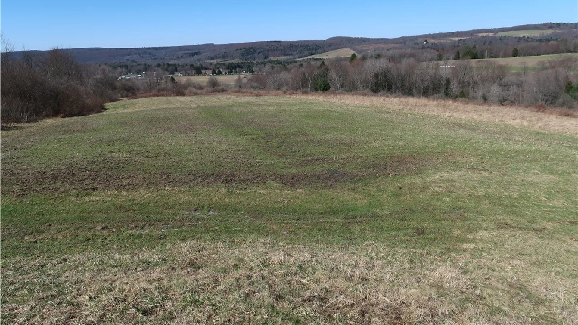 Property at 5156 Carr Road, Willet, NY 13863 23