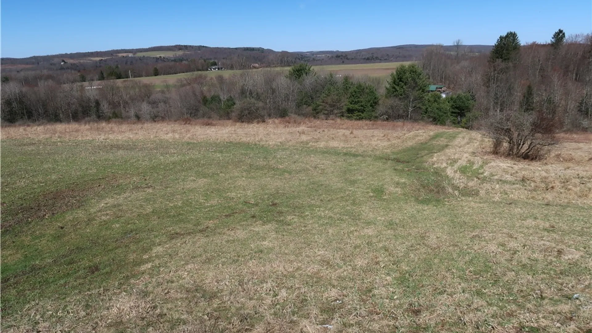 Property at 5156 Carr Road, Willet, NY 13863 24