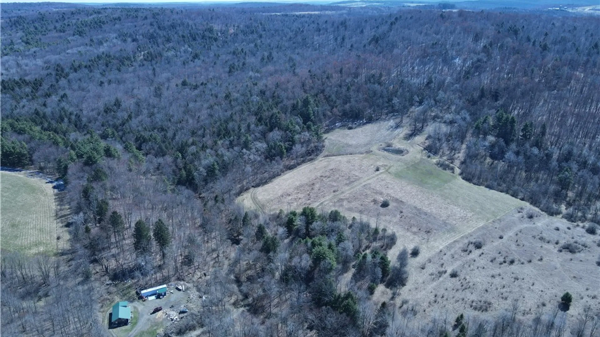 Property at 5156 Carr Road, Willet, NY 13863 32